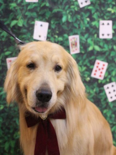 20250422マロンくん